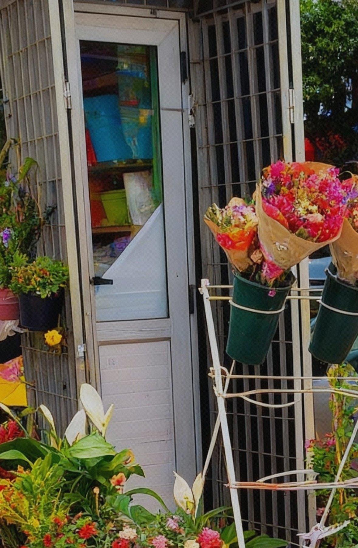 Flores y plantas en la entrada de FloreríaLiz